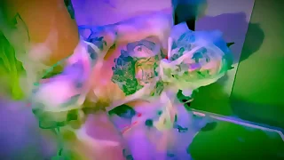 TRASQVEEN: Bubbles & Vassalage